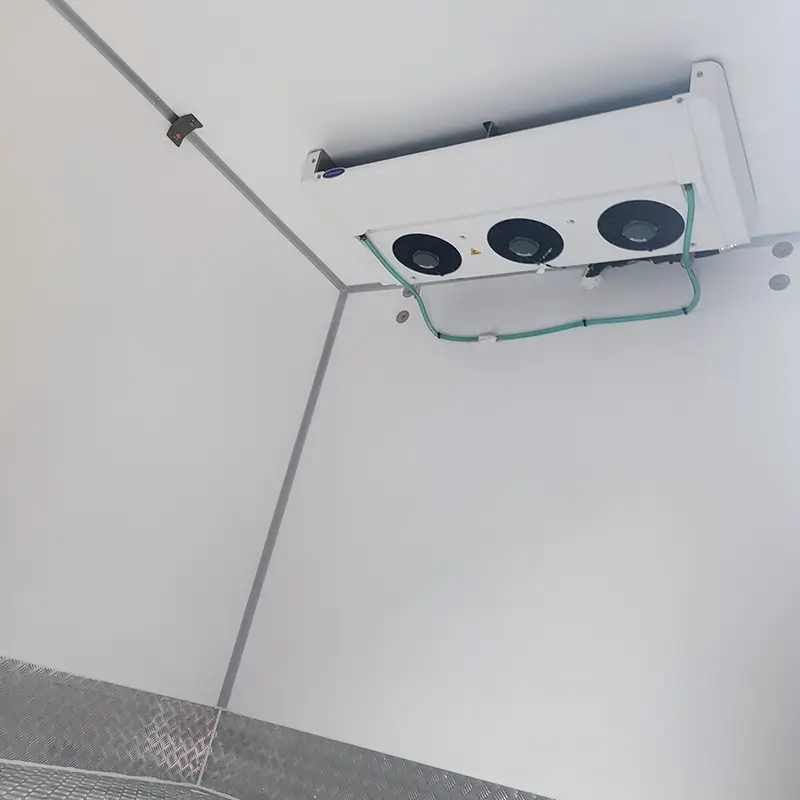 Fruit and Vegetable Refrigerated Truck